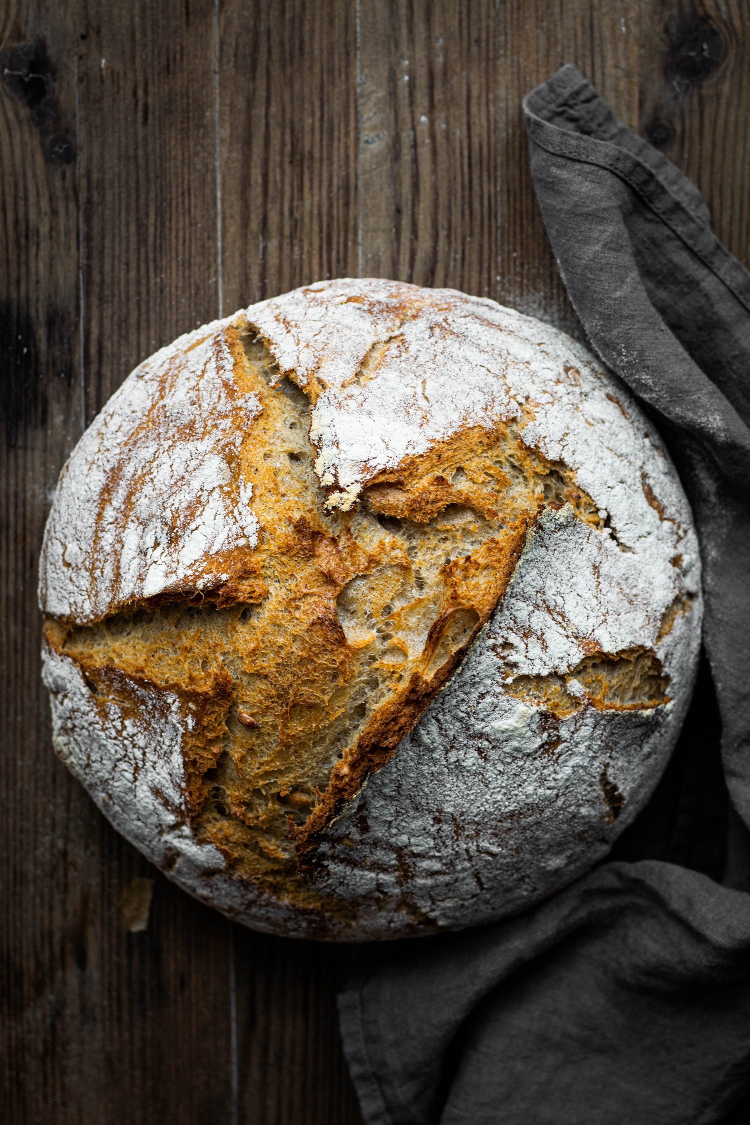 Cozy Bread Portable Dough ready